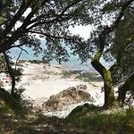 Le Magnolia -t2 A 100m Et Place Du Commando Appartement *