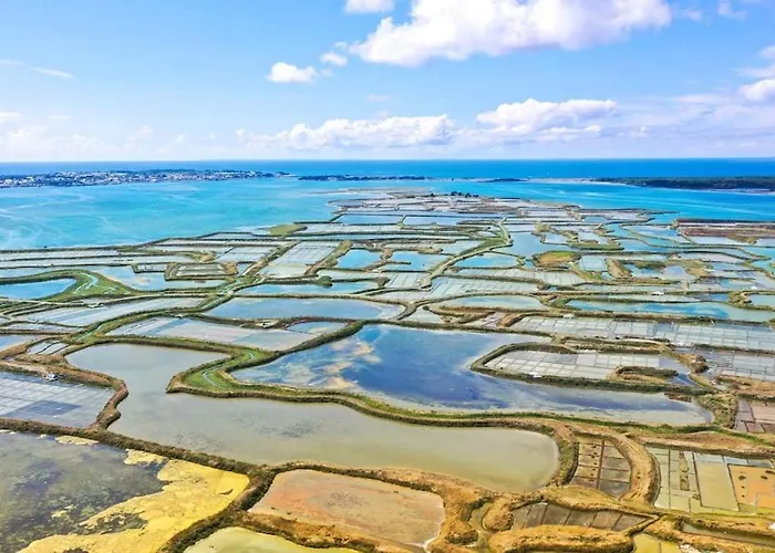 Apartment Le Magnolia -t2 A 100m Et Place Du Commando Saint-Nazaire (Loire-Atlantique)