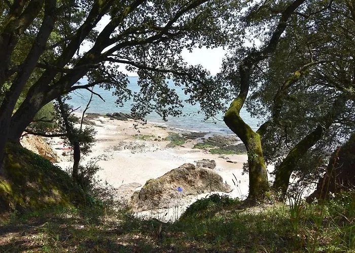 Le Magnolia -t2 A 100m Et Place Du Commando Apartment *